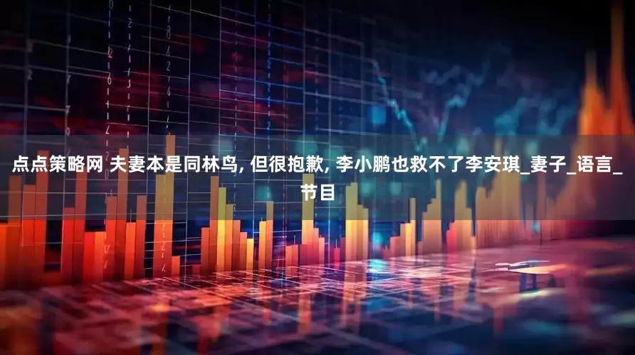 点点策略网 夫妻本是同林鸟, 但很抱歉, 李小鹏也救不了李安琪_妻子_语言_节目