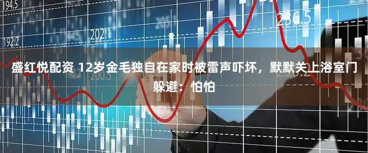 盛红悦配资 12岁金毛独自在家时被雷声吓坏，默默关上浴室门躲避：怕怕