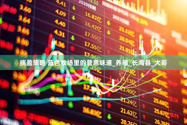 摛盈策略 蓝色牧场里的普惠味道_养殖_长海县_大哥