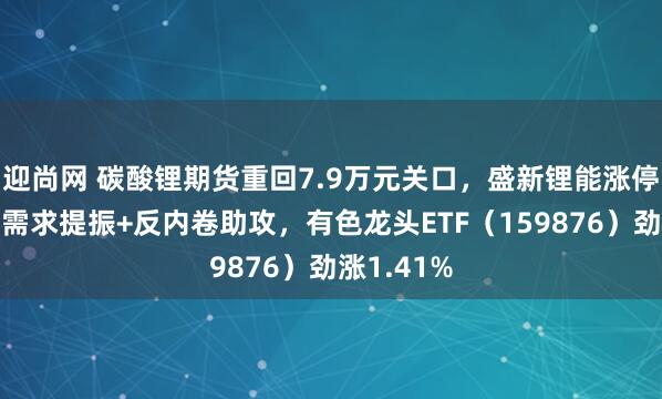 迎尚网 碳酸锂期货重回7.9万元关口，盛新锂能涨停！制造业需求提振+反内卷助攻，有色龙头ETF（159876）劲涨1.41%