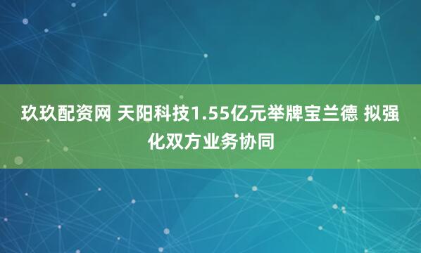 玖玖配资网 天阳科技1.55亿元举牌宝兰德 拟强化双方业务协同