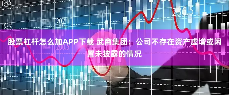 股票杠杆怎么加APP下载 武商集团：公司不存在资产虚增或闲置未披露的情况
