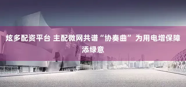 炫多配资平台 主配微网共谱“协奏曲” 为用电增保障添绿意