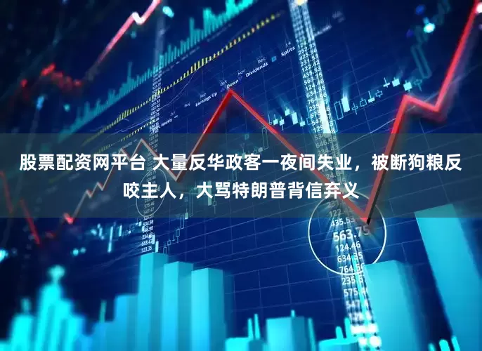 股票配资网平台 大量反华政客一夜间失业，被断狗粮反咬主人，大骂特朗普背信弃义